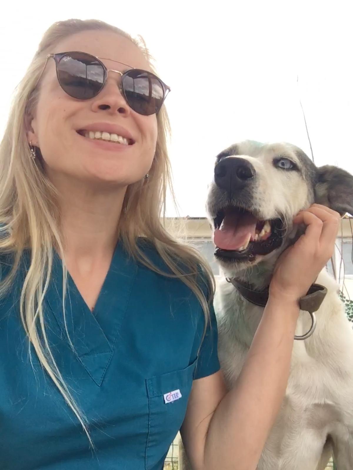 Working with dogs at the shelter